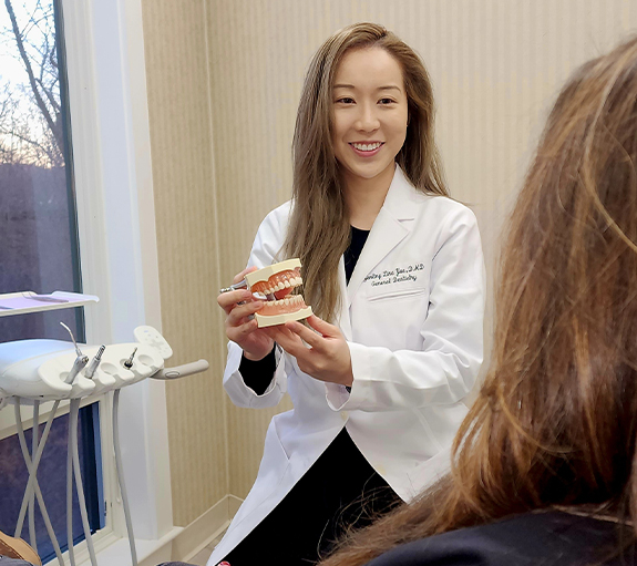 Topsham dentist showing a patient model of the teeth