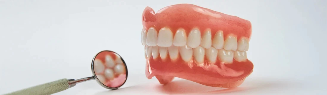 Dentist Topsham ME A Pair of Dentures On Display Restorative Dentistry A Pair of Dentures On Display Restorative Dentistry